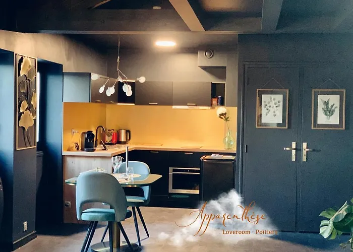 Apparenthese Jacuzzi Sauna Apartment Poitiers